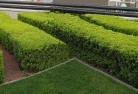 Andocommercial-landscaping-1.jpg; ?>